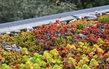 the cost of Odstock green roof installation