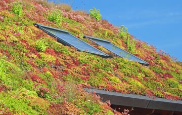 Odstock living roof systems