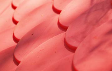 Odstock plastic roof costs