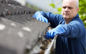cleaning and inspecting Odstock roofs